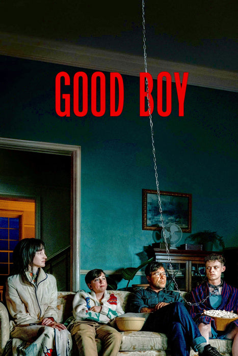 Good Boy (2025) DVD New Set - Free Shipping