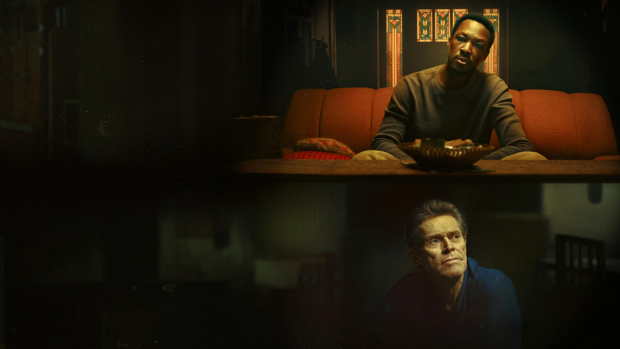 The Man in My Basement (2025) DVD Set New Brand