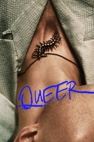 Queer (2024) English Dvd Movie Box Set