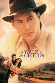 A Walk in the Clouds (1995) Romance English Audio Movie DVD Box Set New