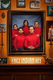 A Nice Indian Boy (2025) English Dvd Movie Box Set