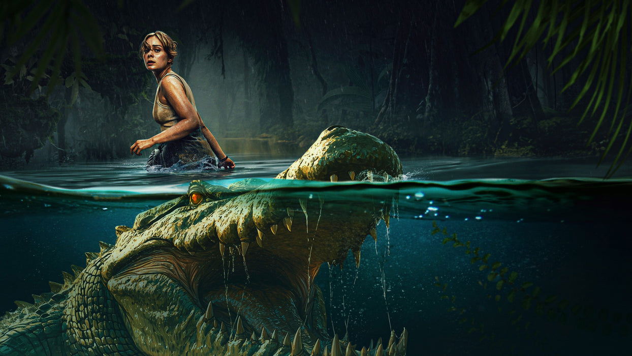 The Bayou (2025) DVD Set New Brand