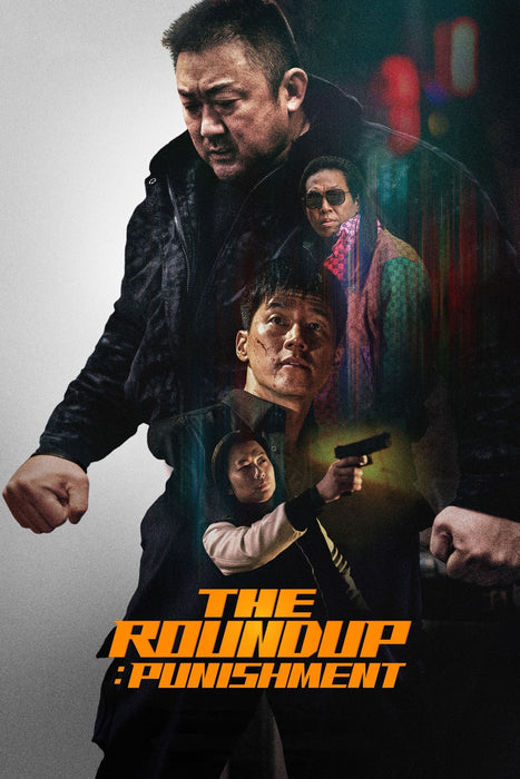 The Roundup: Punishment (2024) DVD New Set [English Audio - Free Shipping]