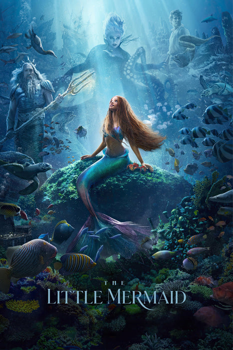 The Little Mermaid (2024) DVD New Set [English Audio - Free Shipping]