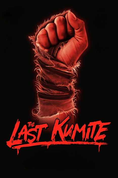 The Last Kumite (2024) DVD New Set [English Audio - Free Shipping]