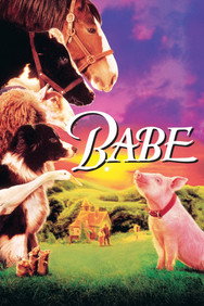 Babe (1995) Family English Audio Movie DVD Box Set New