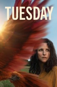 Tuesday (2024) English Dvd Movie Box Set