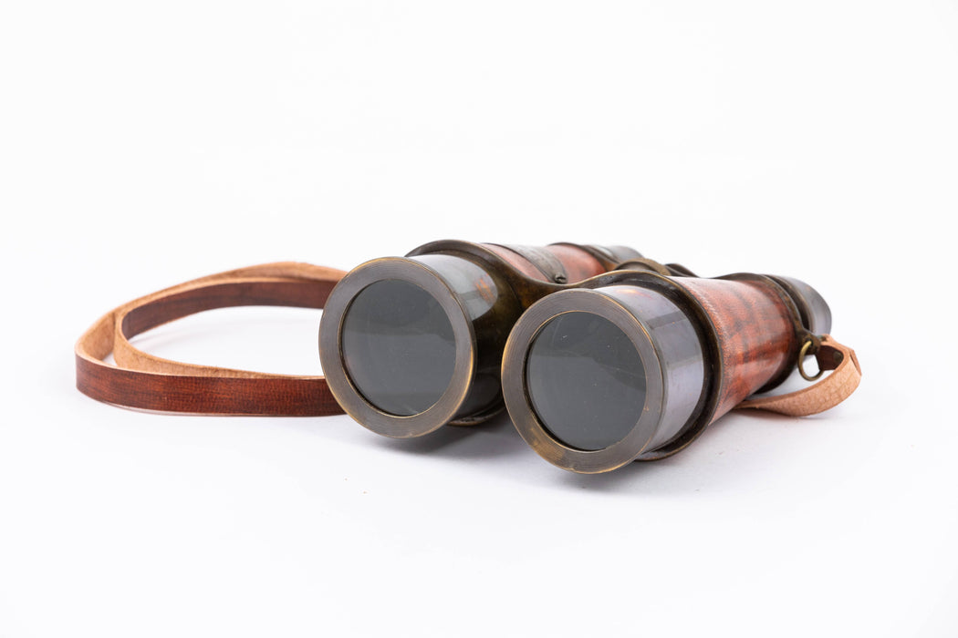 Vintage Binoculars With Leather Case - Binoculars