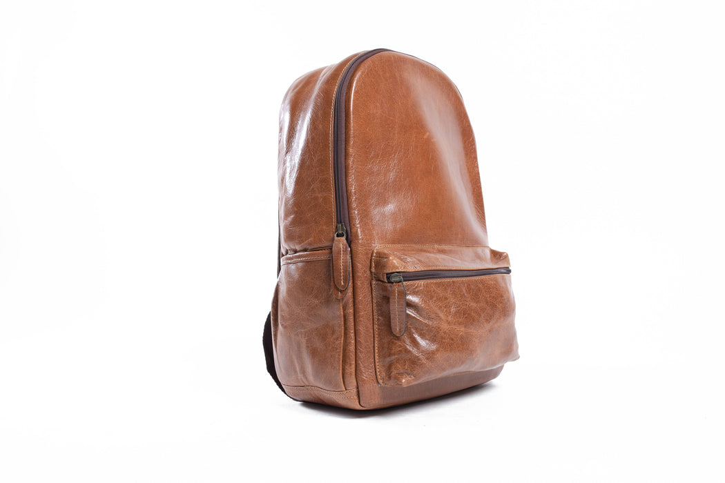 Brown leather camera bacpack